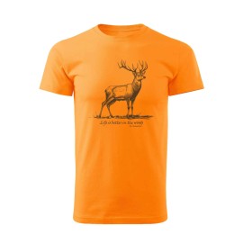 TRICOU SPECTRUM LBW